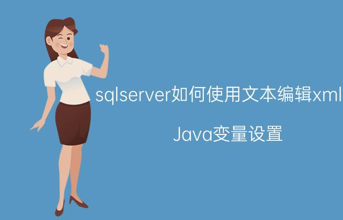 sqlserver如何使用文本编辑xml值 Java变量设置？